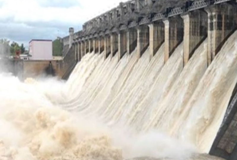 naidunia_image