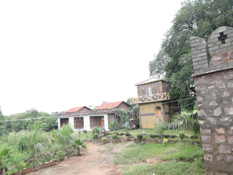 naidunia