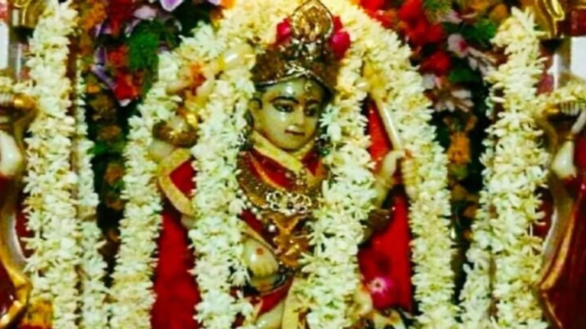 naidunia_image