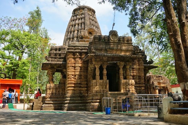 naidunia_image