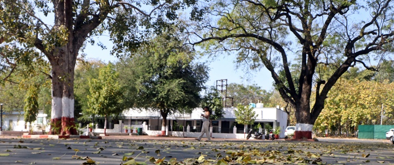 naidunia_image