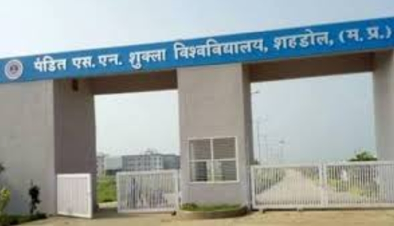 naidunia_image