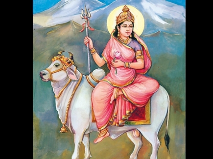 naidunia_image