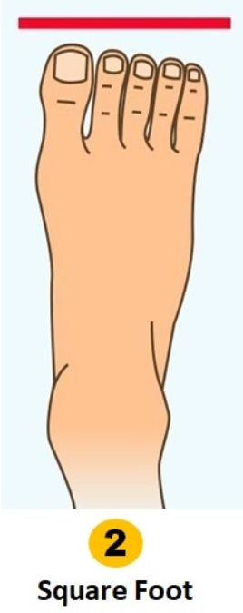 naidunia_image