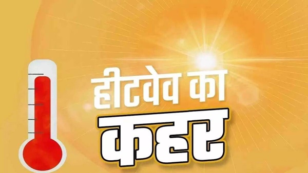 naidunia_image