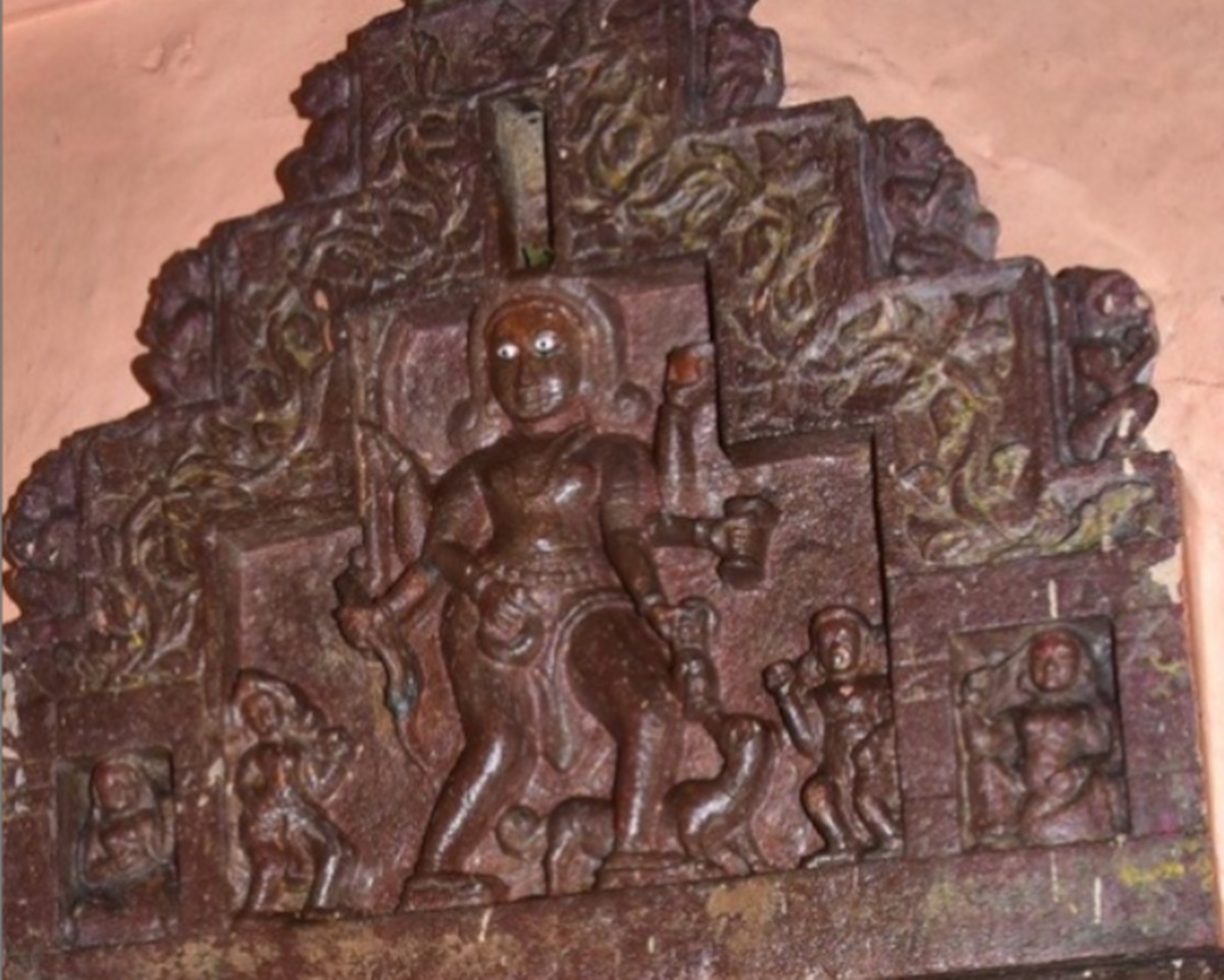 naidunia_image