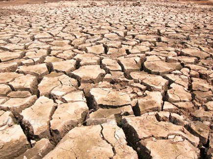 खौफनाक हकीकत: 100 साल में बंजर हो जाएगी पूरी धरती