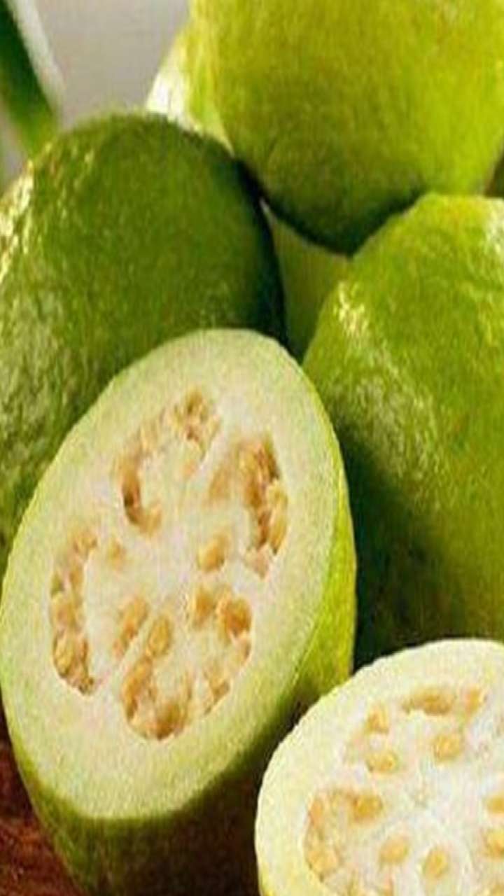 Guava Seeds: सेहत के लिए वरदान है अमरूद के बीज, जानिए जबरदस्त फायदे