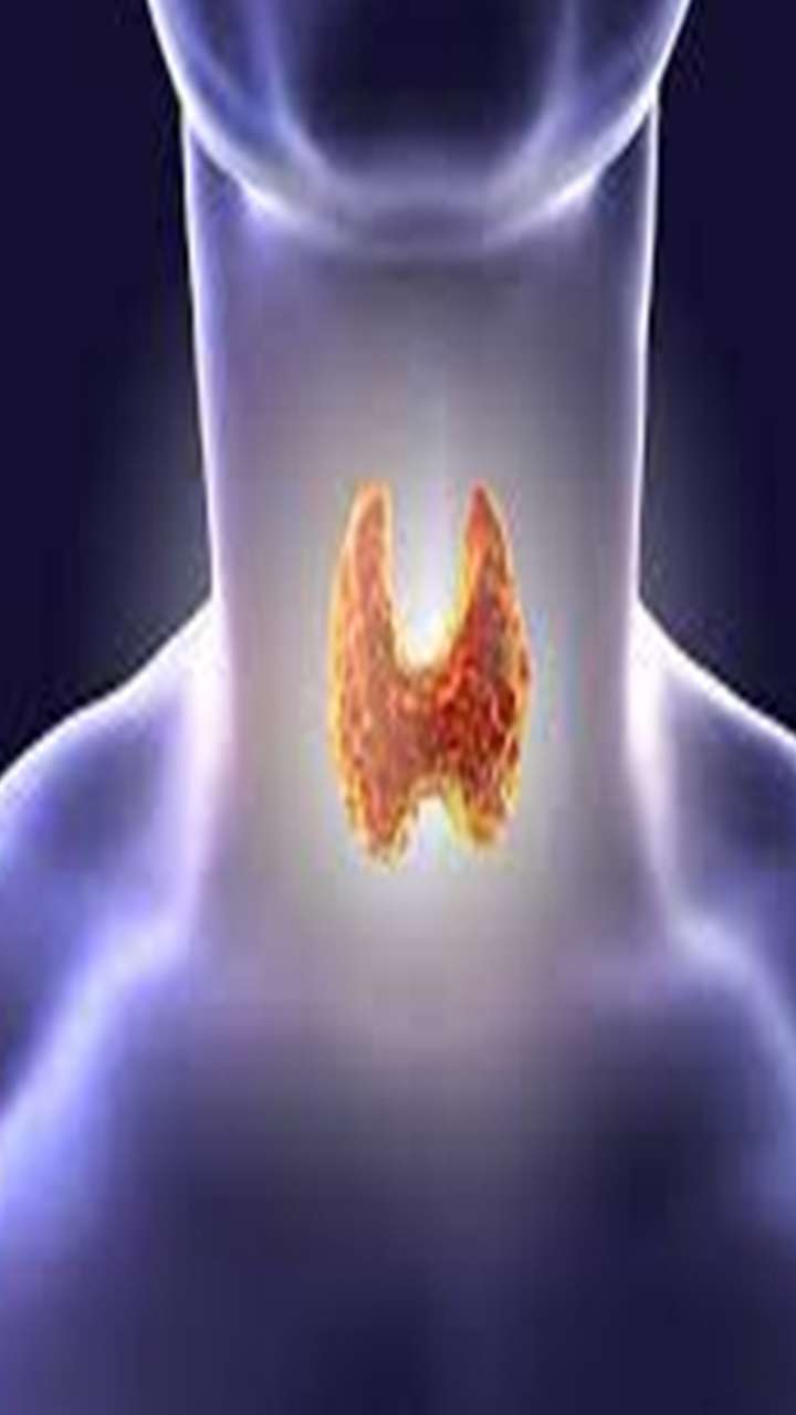 Thyroid: थायरॉइड को मैनेज कर सकते हैं इन चीजों से