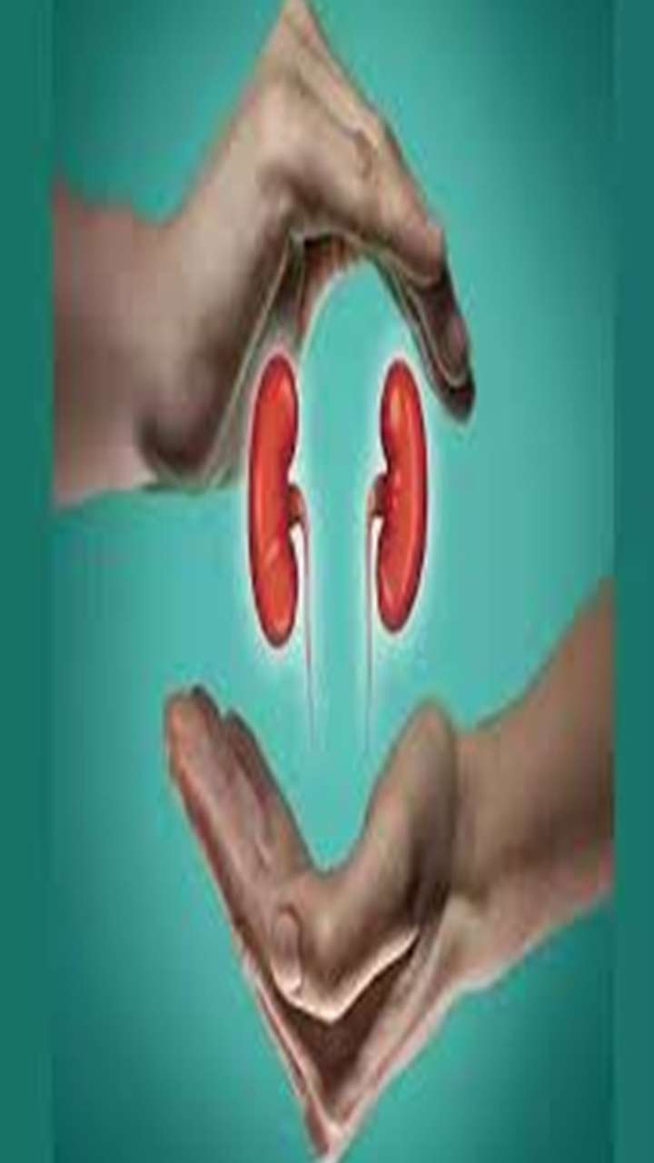 Kidney: इन चीजों न खाएं तो किडनी रहेगी हेल्दी
