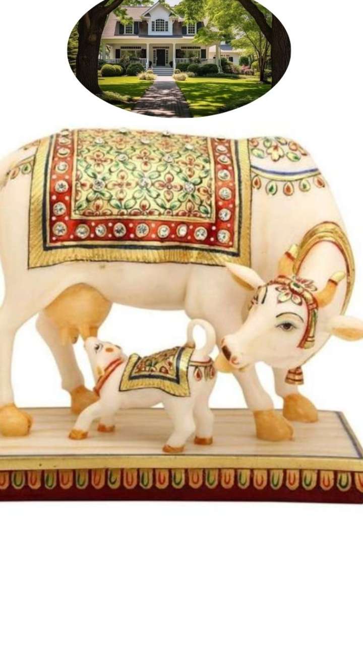 Bird Nest at Home कबूतर व गौरेया का घोंसला घर में लाता है गुड लक, जानिए इससे जुड़े महत्व Bird